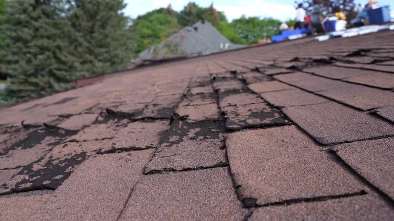 Fast & Reliable Emergency Roof Repairs in St Francis, MN