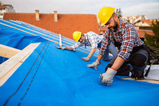 Best Rubber Roofing (EPDM, TPO)  in St Francis, MN